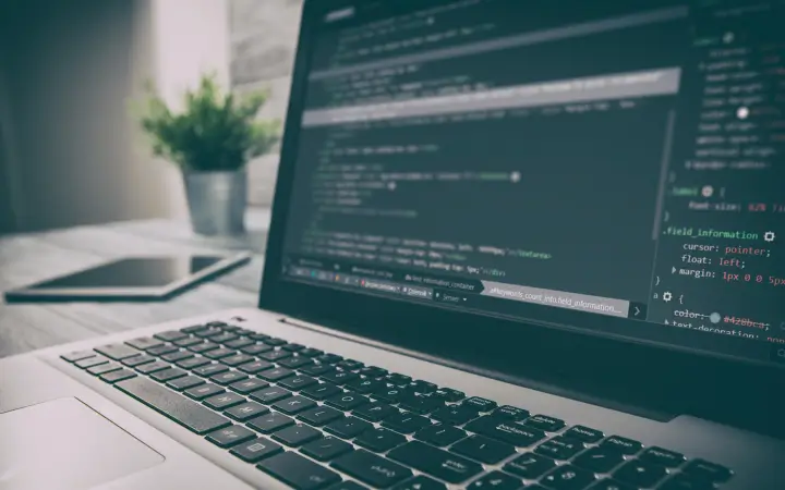 What is predictive coding?