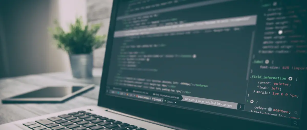 What is predictive coding?