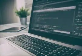 What is predictive coding?