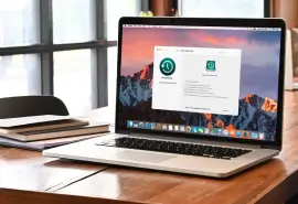 Importance of Regular MacBook Backups