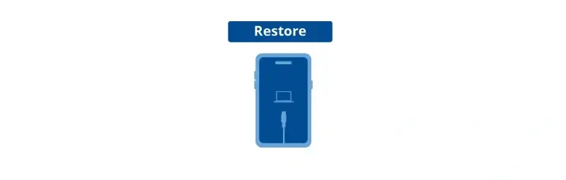 An icon that represents reviving an iPhone in recovery mode.